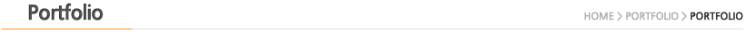 portfolio title